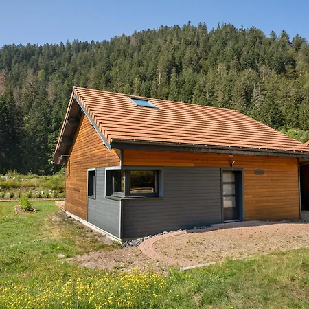 Némésia Avec à Chalet *
