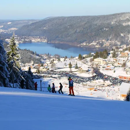 Némésia Avec à Chalet