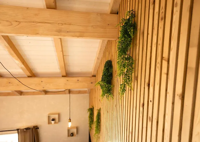 Nemesia Avec A Gérardmer